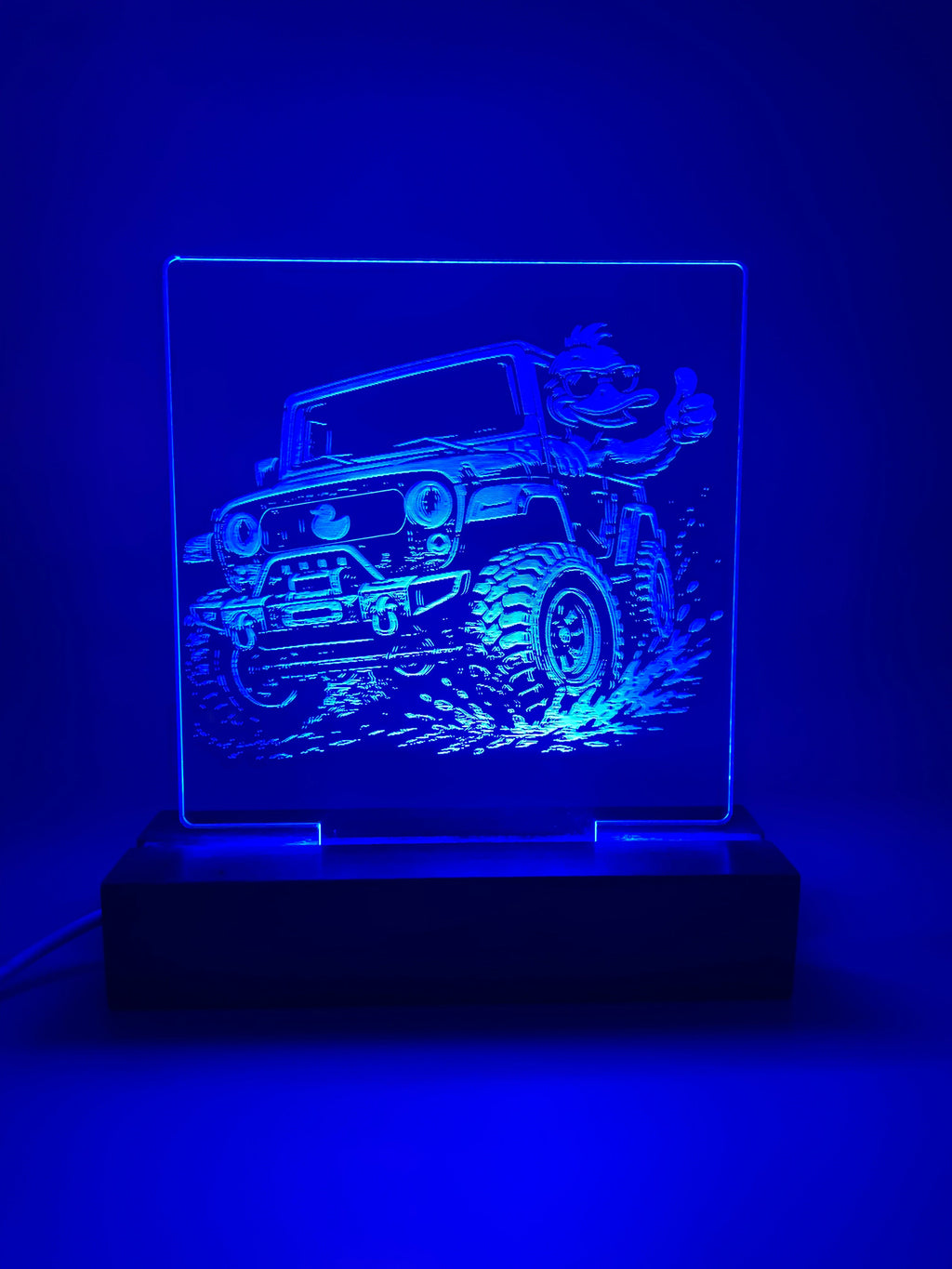 LED Acrylic Thumbs Up Duck 4x4 Decorative Sign