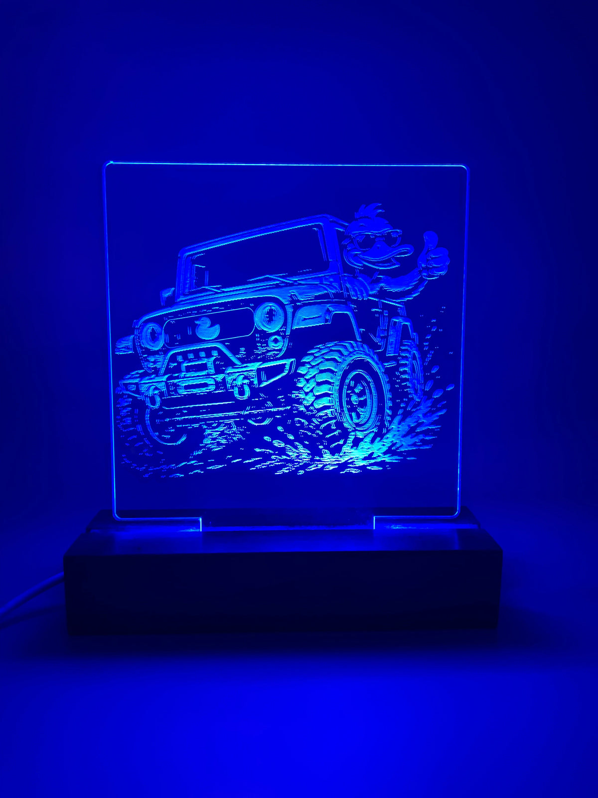LED Acrylic Thumbs Up Duck 4x4 Decorative Sign