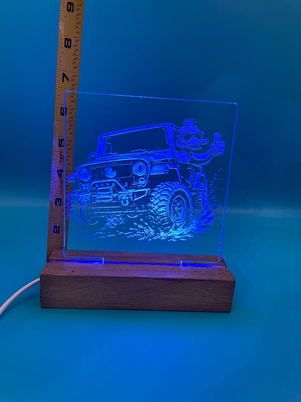 LED Acrylic Thumbs Up Duck 4x4 Decorative Sign